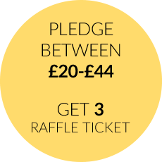 Pledge between £20 and £44 and get 3 raffle tickets