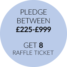 Pledge between £225 and £999 and get 8 raffle tickets
